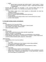 Образец документа 'Ķermeņa uzbūves pamatprincipi', 20.