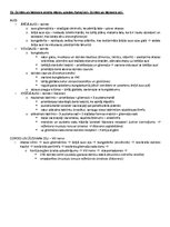 Образец документа 'Ķermeņa uzbūves pamatprincipi', 25.