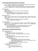 Образец документа 'Ķermeņa uzbūves pamatprincipi', 28.