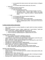 Образец документа 'Ķermeņa uzbūves pamatprincipi', 29.