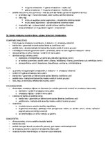 Образец документа 'Ķermeņa uzbūves pamatprincipi', 33.