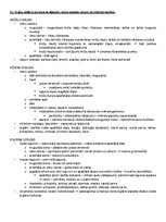 Образец документа 'Ķermeņa uzbūves pamatprincipi', 45.