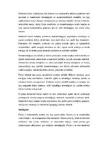 Эссе 'Fizikas nozīme mūsdienu sabiedrībā: teorija, pielietojums un nākotnes perspektīv', 3.