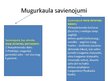 Презентация 'Mugurkauls', 29.