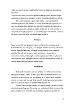 Отчёт по практике 'Pirmsskolas skolotāja pedagoģiskā prakse', 13.