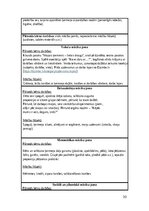 Отчёт по практике 'Pirmsskolas skolotāja pedagoģiskā prakse', 30.