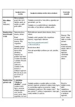 Отчёт по практике 'Pirmsskolas skolotāja pedagoģiskā prakse', 34.