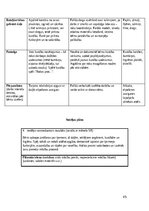 Отчёт по практике 'Pirmsskolas skolotāja pedagoģiskā prakse', 45.