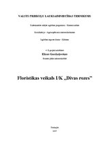 Бизнес план 'Floristikas veikals "Divas rozes"', 1.