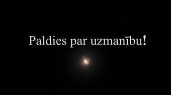 Презентация 'Zemgarozas kodolu arhitektūra un neirobioloģija', 16.
