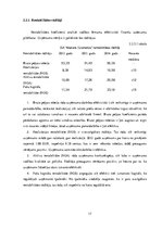 Реферат 'Finanšu analīze uzņēmumam SIA "Madara Cosmetics"', 17.