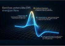 Презентация 'Bioloģiskā elektrība: neirona iekšējais kosmoss', 7.