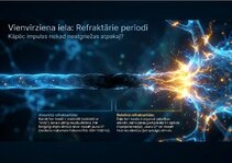 Презентация 'Bioloģiskā elektrība: neirona iekšējais kosmoss', 9.