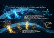 Презентация 'Bioloģiskā elektrība: neirona iekšējais kosmoss', 12.