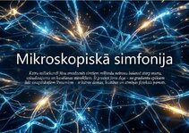Презентация 'Bioloģiskā elektrība: neirona iekšējais kosmoss', 14.