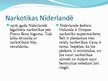 Презентация 'Nīderlande', 15.