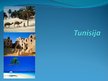 Презентация 'Āfrikas valsts Tunisija', 1.