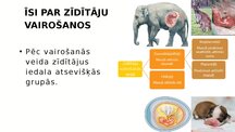 Презентация 'Zīdītāju vairošanās', 3.