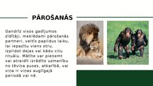 Презентация 'Zīdītāju vairošanās', 5.