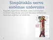 Презентация 'Simpātiskā nervu sistēma', 4.