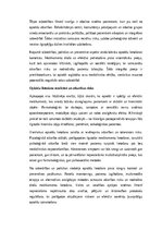 Эссе 'Opioīdu lietošana medicīnā un atkarības risks', 6.