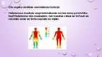 Презентация 'Muskuļu funkcijas', 9.