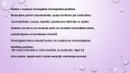 Презентация 'Muskuļu funkcijas', 10.