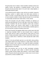 Эссе 'Dzīve bilingvālajā vidē', 2.