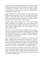 Эссе 'Dzīve bilingvālajā vidē', 3.