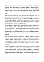 Эссе 'Dzīve bilingvālajā vidē', 4.