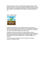 Конспект 'Konspekts ekoloģijā', 6.