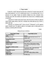 Бизнес план 'SIA "Veloms"', 8.