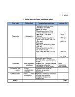 Бизнес план 'SIA "Veloms"', 10.