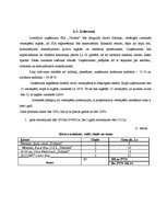 Бизнес план 'SIA "Veloms"', 15.