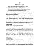 Дипломная 'SIA "Maiznīca Liepkalni" finansiālā stāvokļa analīze un novērtējums', 25.