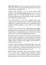 Эссе 'Urbanizācijas ietekme uz vidi un klimatu: izaicinājumi un ilgtspējīgas pilsētvid', 2.