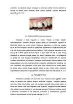 Реферат 'Mutes dobuma higiēna, izplatītākās zobu slimības un to cēloņi', 7.