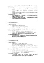 Конспект 'Cilvēka orgānu sistēmu funkciju praktiska analīze', 8.