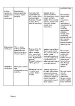 Отчёт по практике 'Kvalifikācijas prakse pirmsskolā', 5.