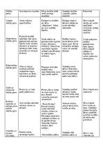 Отчёт по практике 'Kvalifikācijas prakse pirmsskolā', 6.