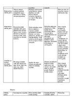 Отчёт по практике 'Kvalifikācijas prakse pirmsskolā', 8.