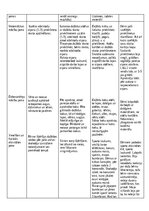 Отчёт по практике 'Kvalifikācijas prakse pirmsskolā', 12.