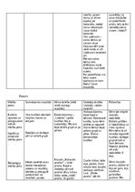 Отчёт по практике 'Kvalifikācijas prakse pirmsskolā', 13.