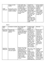 Отчёт по практике 'Kvalifikācijas prakse pirmsskolā', 14.