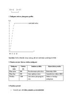 Конспект 'Īsslēguma strāvu aprēķins elektroenerģijas sistēmās: teorija un pielietojums', 11.