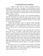 Отчёт по практике 'Grāmatvedības prakses atskaite', 8.