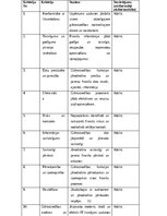 Отчёт по практике 'Grāmatvedības prakses atskaite', 32.