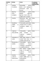 Отчёт по практике 'Grāmatvedības prakses atskaite', 34.