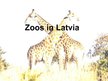 Презентация 'Zoos in Latvia', 1.