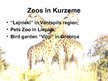 Презентация 'Zoos in Latvia', 11.
